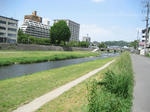 IMG_4197.jpg