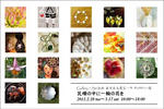gallerysin_1202.jpg