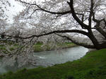 DSCN0675.JPG