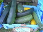 PA0_0252.JPG