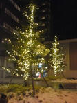 PA0_0152.JPG