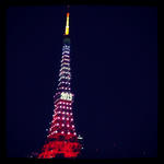 2013-01-04T12-40-32_0.jpg