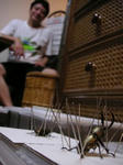 PICT2157.jpg