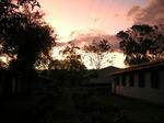 PICT0693_500.jpg