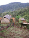 PICT0546_300.jpg