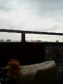 20070716173817_01.jpg