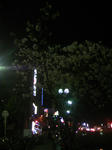 DCF_0026.JPG