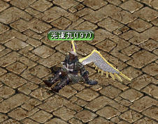 rs1.jpg