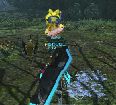 PSO2_11.jpg