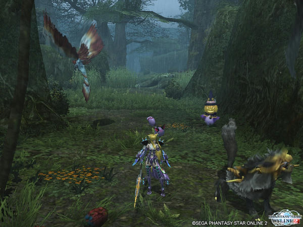 PSO2_53.jpg