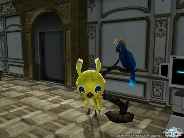 PSO2_81.jpg