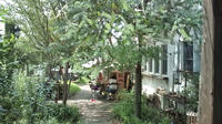 20110816121706.jpg