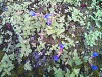 20120719174128.jpg