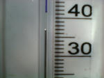 温室37度