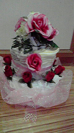 2008062917280000.jpg