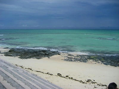 IMG_6282.jpg
