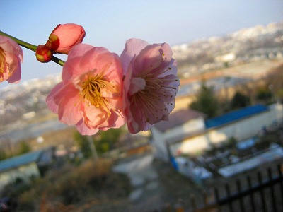 IMG_6167.jpg