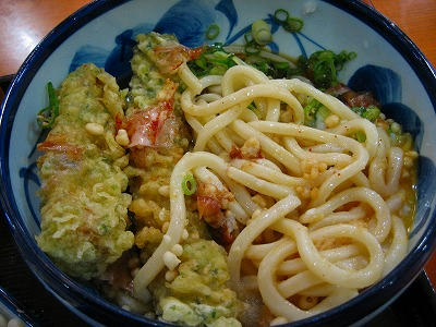 吹田ＳＡぶっかけうどん