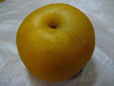 方城梨