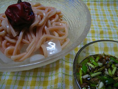 ふみこ農園紀州梅うどん
