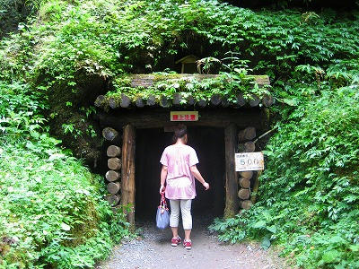 子豚が通る