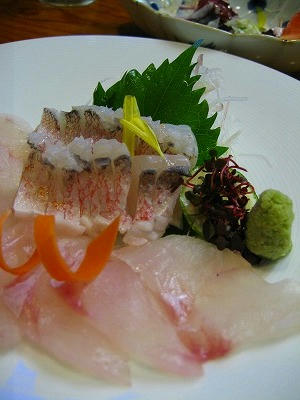 頂いたお魚くんたち