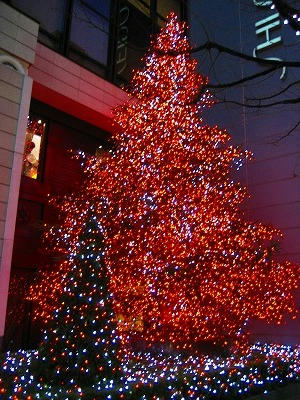 資生堂　クリスマスツリー