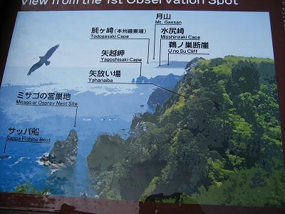 北山崎・鵜の巣断崖