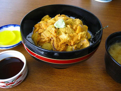 利尻島でウニ丼
