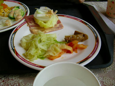 北投温泉　熱海大飯店in台北