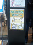 「今日の光るきのこくん」案内板