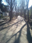 遊歩道