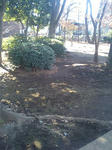 公園