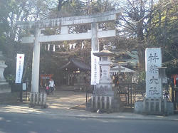 杵築大社