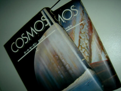 cosmos.JPG
