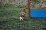 DSC_02900272.jpg