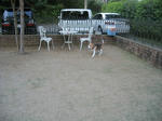 IMG_00910091.jpg