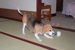 DSC_00730070.jpg