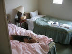 IMG_01560155.jpg