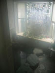 IMG_01660165.jpg