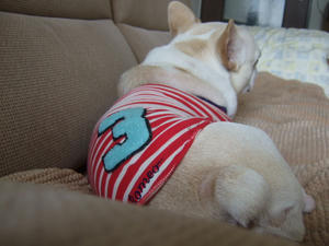 DSCF1591.JPG