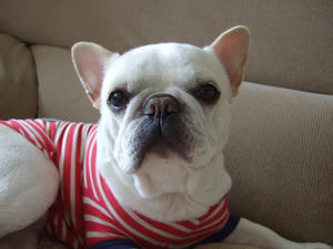 DSCF1592.JPG