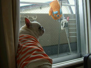 DSCF1760.jpg