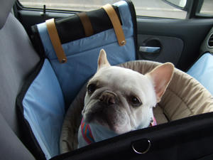 DSCF1829.JPG