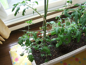 DSCF1958.JPG