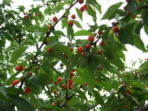 DSCF2320.JPG