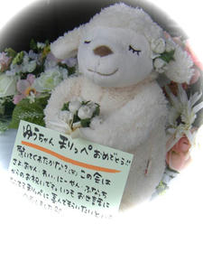 DSCF6411-3.jpg