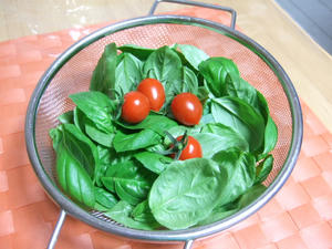 DSCF2486.JPG