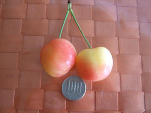 DSCF2508.JPG