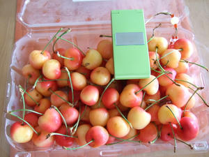 DSCF2507.JPG